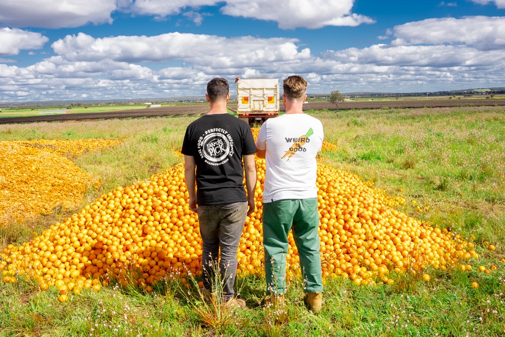 STATISTICS OF UGLY FRUIT AND VEG WASTAGE IN AUSTRALIA