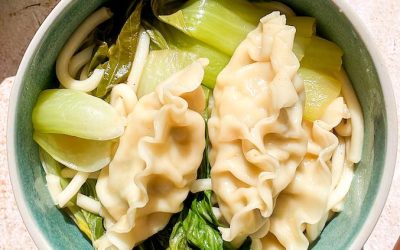 RICE COOKER DUMPLING AND NOODLE SOUP