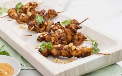 MOROCCAN CHICKEN SKEWERS W/ BEERENBERG SLOW COOKER MOROCCAN LAMB SAUCE